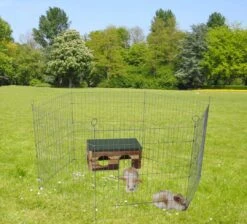 Boon Draadren 6-delig Verzinkt -Dieren Serie Winkel 0204533a