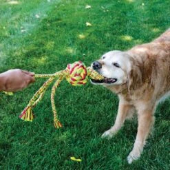 Kong Wubba Weaves Rope Assorti -Dieren Serie Winkel 0205783 met hond
