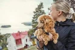 Hurtta Hondenlijn Standard Razzle Dazzle Blackberry -Dieren Serie Winkel 0228716 met hond