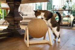 Designed By Lotte Krabbol Op Voet Xem -Dieren Serie Winkel 0409127 sfeer1