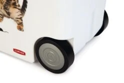 Curver Voedselcontainer Kat 35 Ltr -Dieren Serie Winkel 0412026 det5