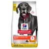 Hill's Science Plan Adult Perfect Digestion Large Breed 12 Kg