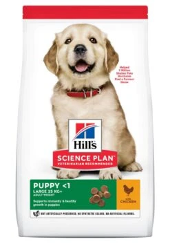 Hill's Science Plan Puppy Large Breed Kip 12 Kg