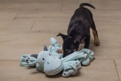 Beeztees Puppy Knuffeldoek Draak M -Dieren Serie Winkel 0619493 sfeer3