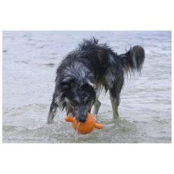 Beeztees Apportino Bal -Dieren Serie Winkel 0625880 2