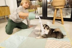 Beeztees Puppy Flostouw Pullina Groen 9 Beeztees Puppy Flostouw Pullina Groen -Dieren Serie Winkel 0641270 sfeer2