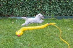 Beeztees Hondenspeelgoed Splashy Snake -Dieren Serie Winkel 0704635 sfeer2