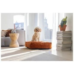 Designed By Lotte Hondenkussen Ribbed Terracotta -Dieren Serie Winkel 0716267 2