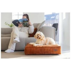 Designed By Lotte Hondenkussen Ribbed Terracotta -Dieren Serie Winkel 0716267 3