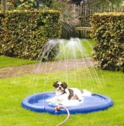 Beeztees Sprinklermat Stay Cool Blauw 100 Cm 7 Beeztees Sprinklermat Stay Cool Blauw 100 Cm -Dieren Serie Winkel 0740630 sfeer1