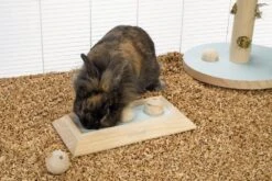 Beeztees Braingame Ballira Mint -Dieren Serie Winkel 0811115 sfeer1