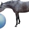 QHP Paardenvoetbal Blauw 100 Cm -Dieren Serie Winkel 106104 8005bl 1