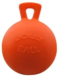 Jolly Ball Met Geur 25 Cm -Dieren Serie Winkel 13270