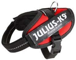 Julius K9 IDC Powerharness Red -Dieren Serie Winkel 16IDC R B2