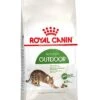 Royal Canin Kattenvoer Outdoor 4 Kg 2 Royal Canin Kattenvoer Outdoor 4 Kg -Dieren Serie Winkel 3182550707381