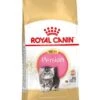 Royal Canin Kattenvoer Persian Kitten 10 Kg -Dieren Serie Winkel 3182550721233