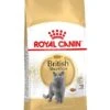 Royal Canin Kattenvoer British Shorthair Adult 4 Kg -Dieren Serie Winkel 3182550756440