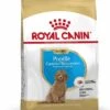 Royal Canin Hondenvoer Poodle Puppy 3 Kg -Dieren Serie Winkel 3182550765206