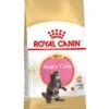 Royal Canin Kattenvoer Maine Coon Kitten 4 Kg -Dieren Serie Winkel 3182550770958