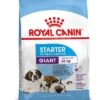 Royal Canin Hondenvoer Giant Starter 15 Kg 2 Royal Canin Hondenvoer Giant Starter 15 Kg -Dieren Serie Winkel 3182550778831