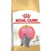 Royal Canin Kattenvoer British Shorthair Kitten 2 Kg -Dieren Serie Winkel 3182550816533