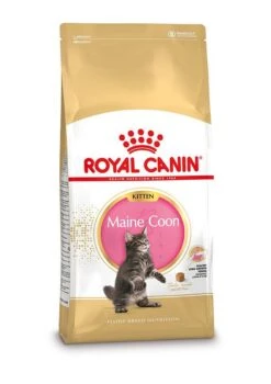 Royal Canin Kattenvoer Maine Coon Kitten 10 Kg