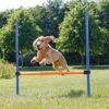TRIXIE Dog Activity Agility Horde -Dieren Serie Winkel 3207 1