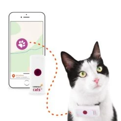 Weenect Cats 2 GPS Tracker 7 Weenect Cats 2 GPS Tracker -Dieren Serie Winkel 37700003001092