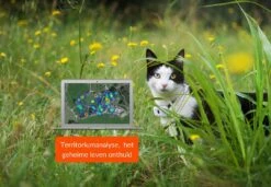 Weenect Cats 2 GPS Tracker 8 Weenect Cats 2 GPS Tracker -Dieren Serie Winkel 37700003001096
