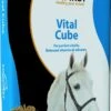 EquiFirst Vital Cube 20 Kg -Dieren Serie Winkel 502002 EQF Vital Cube Petit Def