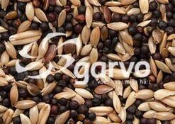 Garvo Kanarie Zoet Standaard 20 Kg -Dieren Serie Winkel 5361 kanarie zoet standaard