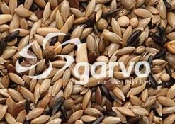 Garvo Kanarie Zonder Raap 20 Kg -Dieren Serie Winkel 5371 kanarie zonder raap