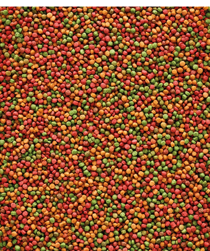 Versele-Laga NutriBird B18 3 Kg 4 Versele-Laga NutriBird B18 3 Kg - Afbeelding 2