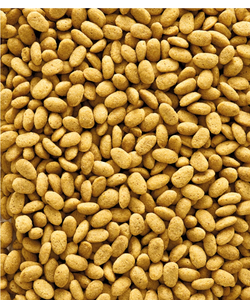 Versele-Laga NutriBird P19 Original 10 Kg 4 Versele-Laga NutriBird P19 Original 10 Kg - Afbeelding 2