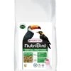 Versele-Laga NutriBird Tropical Fruit Patee 25 Kg -Dieren Serie Winkel 5410340221426