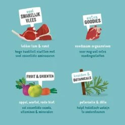 Edgard & Cooper Hondenvoer Adult Lam En Rund 150 Gr 8 Edgard & Cooper Hondenvoer Adult Lam En Rund 150 Gr -Dieren Serie Winkel 5425039485416 4