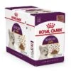 Royal Canin Kattenvoer Sensory Taste In Gravy 12 X 85 Gr -Dieren Serie Winkel 578858