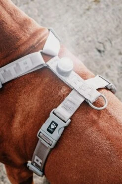 Hurtta Adventure Polar LED Lamp Shadow 9 Hurtta Adventure Polar LED Lamp Shadow -Dieren Serie Winkel 6410329326912 b