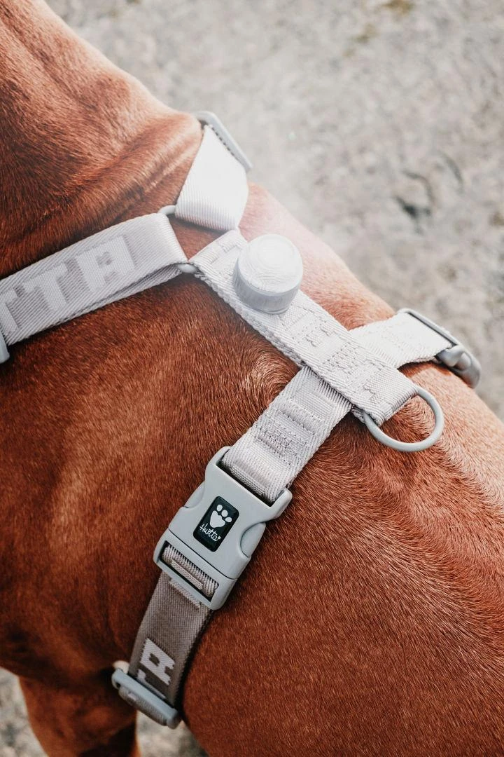 Hurtta Adventure Polar LED Lamp Shadow 6 Hurtta Adventure Polar LED Lamp Shadow - Afbeelding 4