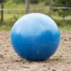 QHP Paardenvoetbal Blauw 80 - 100 Cm -Dieren Serie Winkel 8005bl 2 1