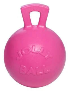 Jolly Ball Met Geur 25 Cm -Dieren Serie Winkel 8170