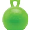 Jolly Ball Met Geur 25 Cm -Dieren Serie Winkel 8490