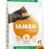 IAMS Kattenvoer Adult Ocean Fish 3 Kg -Dieren Serie Winkel 8710255127040 2