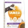IAMS Kattenvoer Kitten Chicken 10 Kg 2 IAMS Kattenvoer Kitten Chicken 10 Kg -Dieren Serie Winkel 8710255127736 2