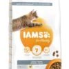 IAMS Kattenvoer Adult Indoor Chicken 10 Kg -Dieren Serie Winkel 8710255150451 2