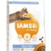 IAMS Kattenvoer Adult Dental Chicken 10 Kg -Dieren Serie Winkel 8710255150505 2