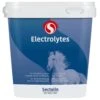 Sectolin Equivital Electrolyten 3 Kg 1 Sectolin Equivital Electrolyten 3 Kg -Dieren Serie Winkel 8715122110552