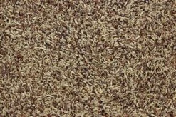 Wildzangzaad 20 Kg -Dieren Serie Winkel 8715207100188 2