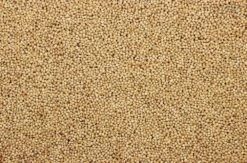 Milletzaad Wit 20 Kg -Dieren Serie Winkel 8715207101130 2