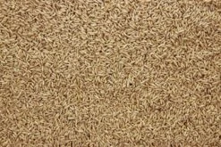 Haver Gepeld 20 Kg -Dieren Serie Winkel 8715207102410 2